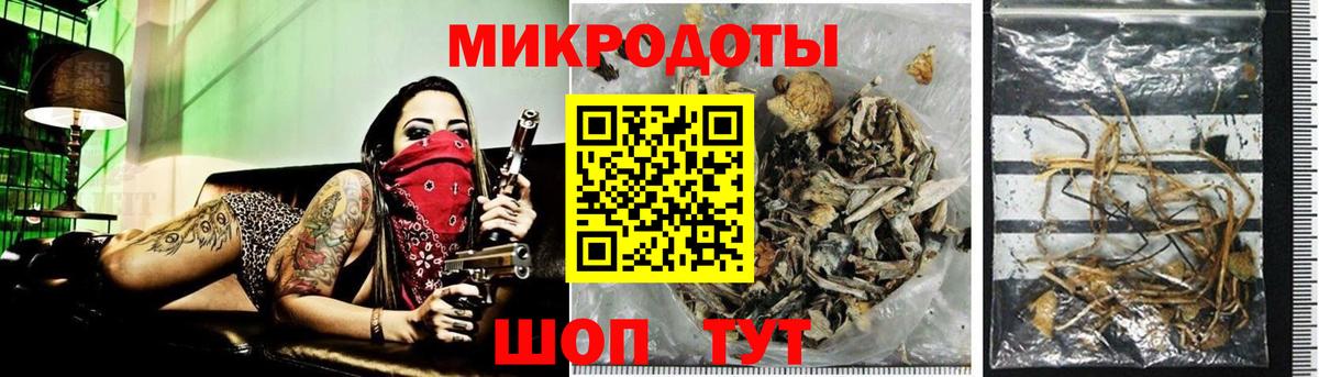 Мичуринск  Псилоцибиновые грибы Psilocybe  Вход с VPN  Галлюциногенные грибы ЛСД 